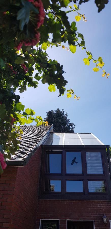 Giselas Haus Cloppenburg Exteriör bild
